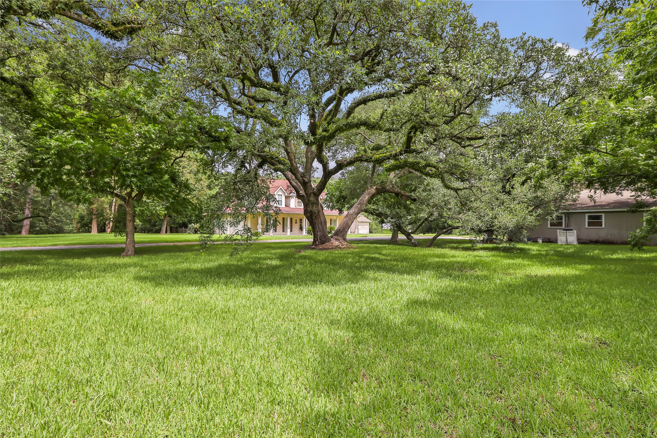 123 Burwell Road Highlands, TX 77562 - Photo 3 of 25 Beautiful mature trees throughout the property