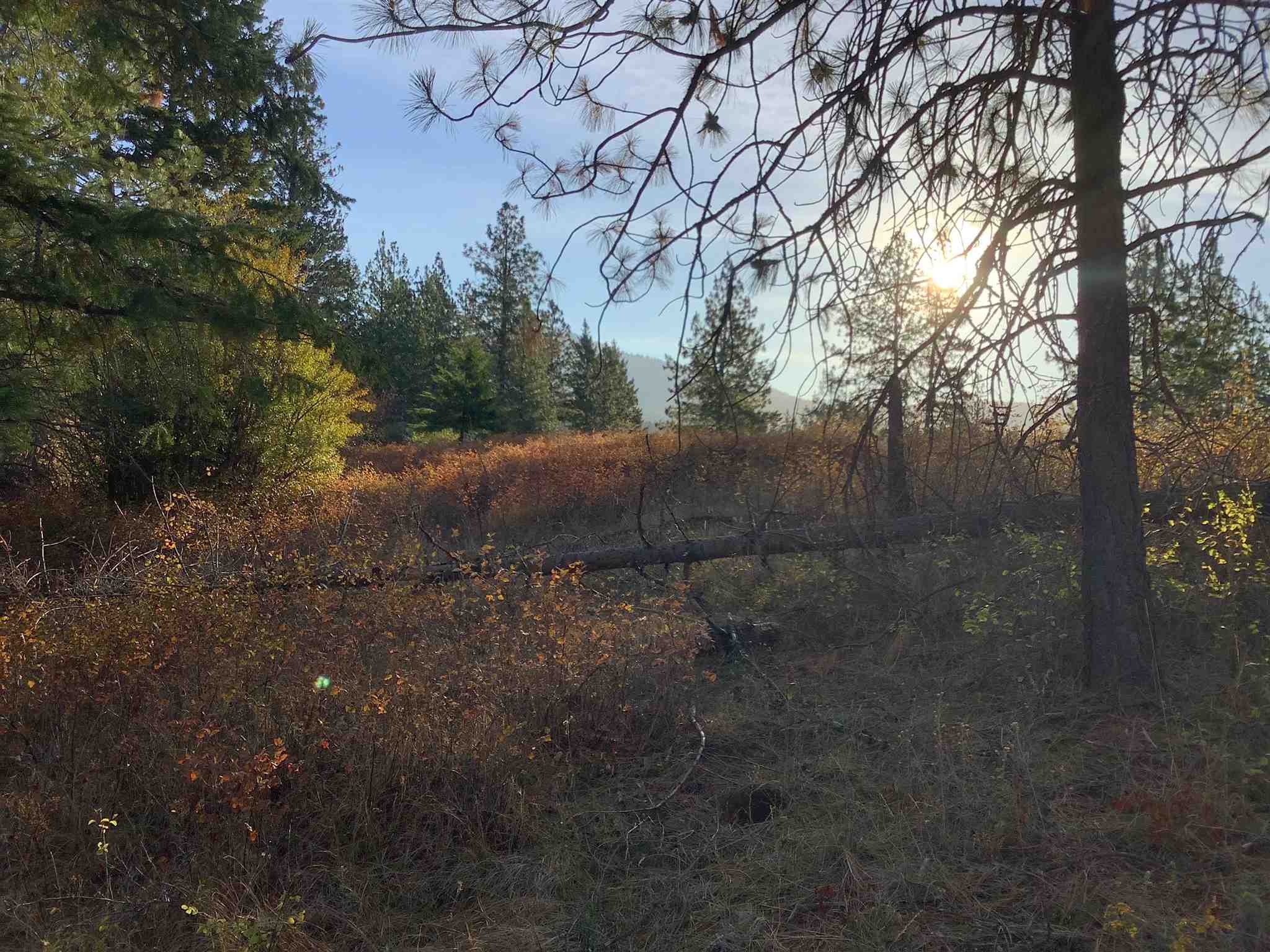 289-xx North Conklin Road Chattaroy, WA 99003 - Photo 1 of 17