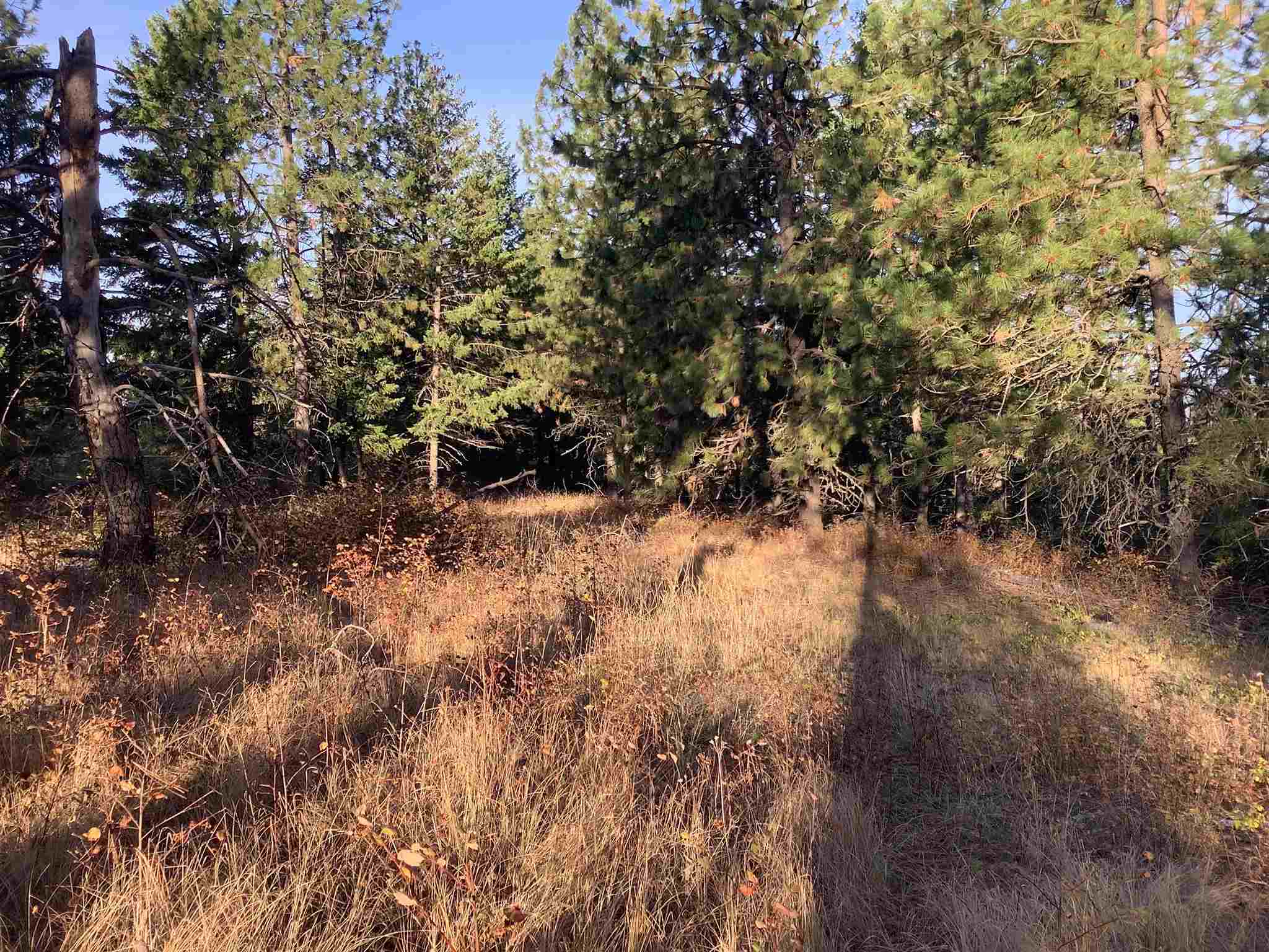 289-xx North Conklin Road Chattaroy, WA 99003 - Photo 4 of 17