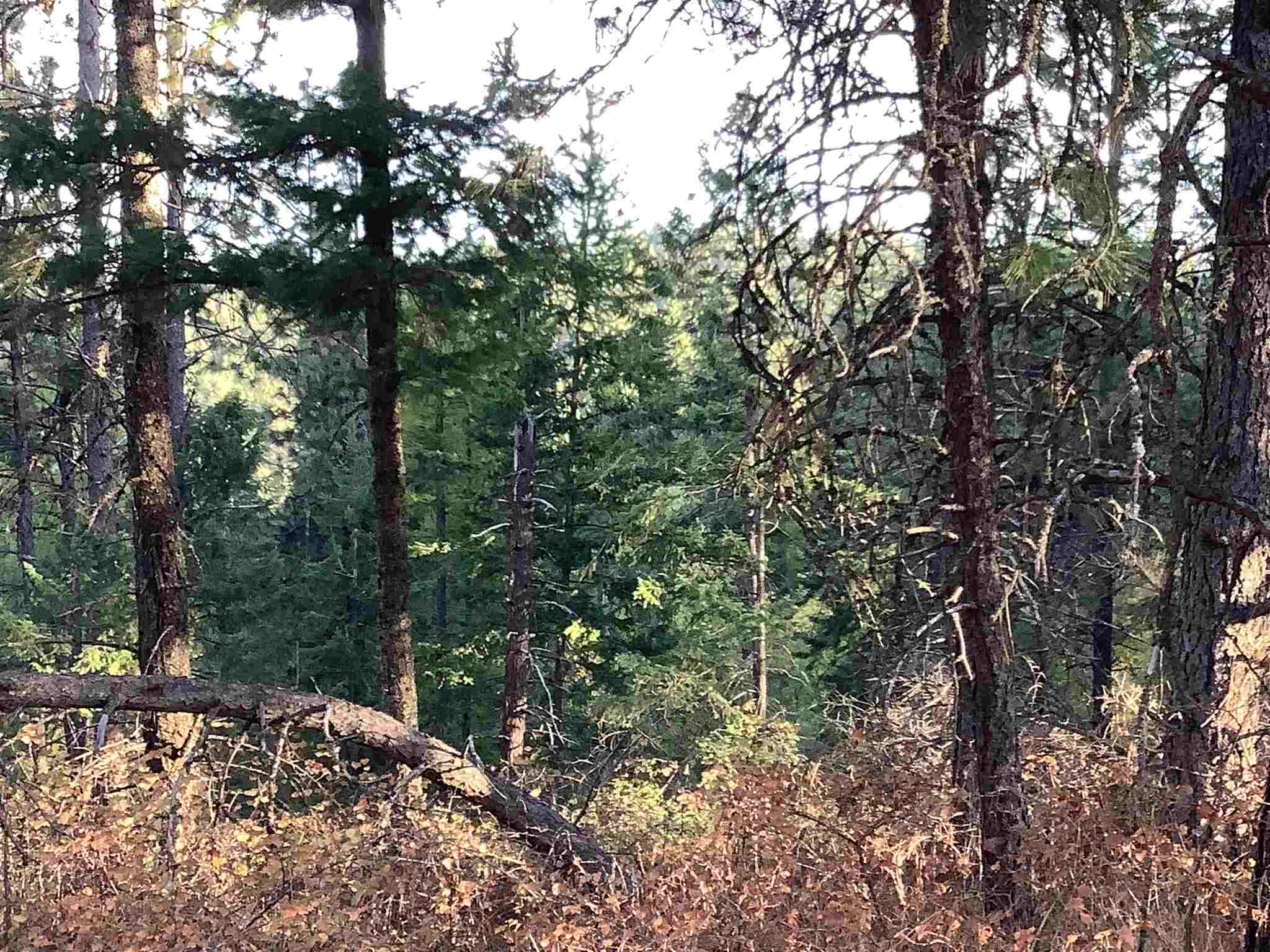 289-xx North Conklin Road Chattaroy, WA 99003 - Photo 10 of 17