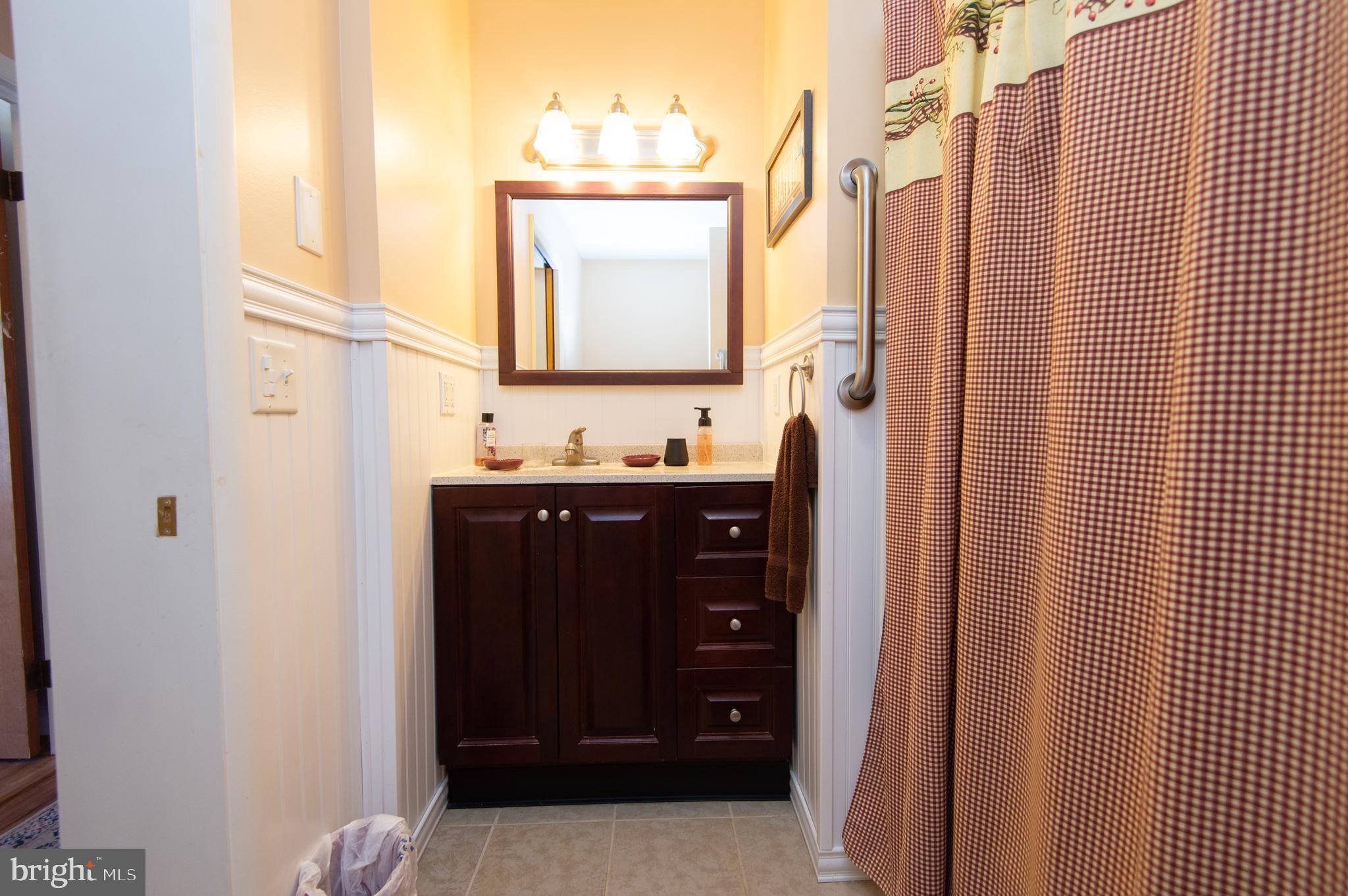 27113 Walnut Tree Road Salisbury, MD 21801 - Photo 36 of 58 Hall Bathroom Vanity