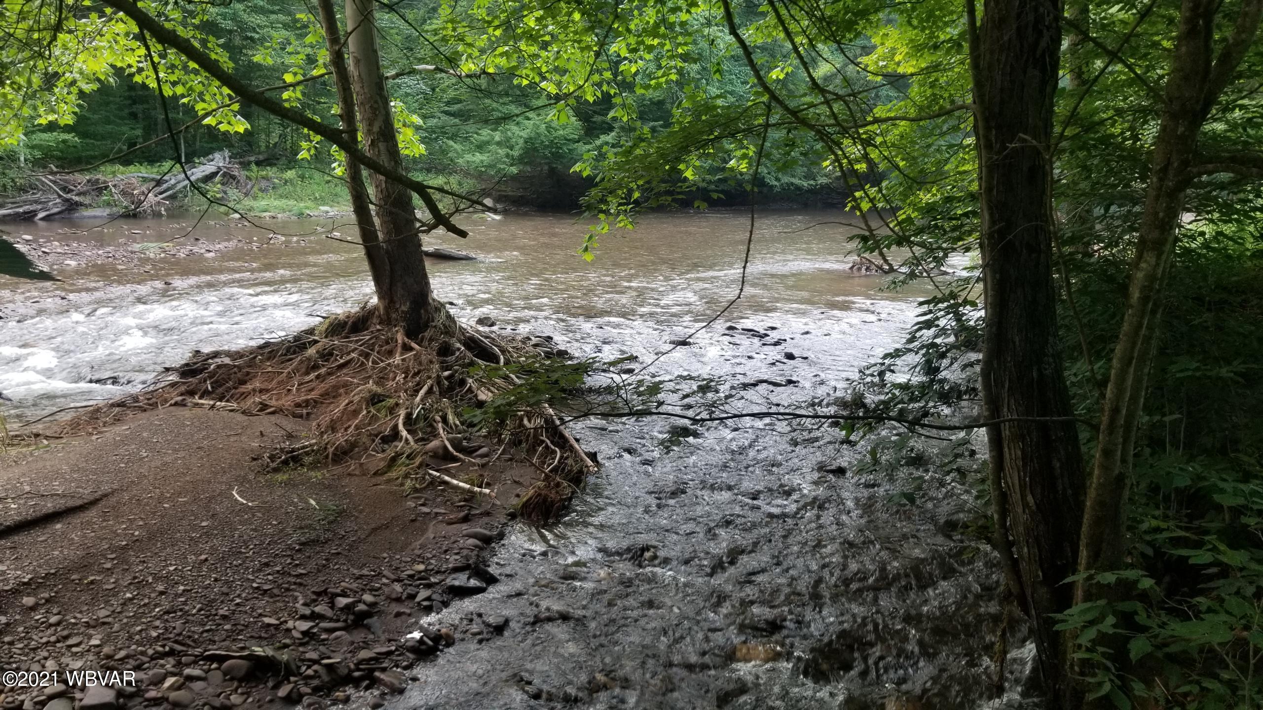 South Lick Creek Road Dushore, PA 18614 - Photo 12 of 18 Gallery Image 12