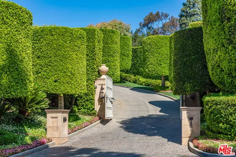 a view of a garden with plants