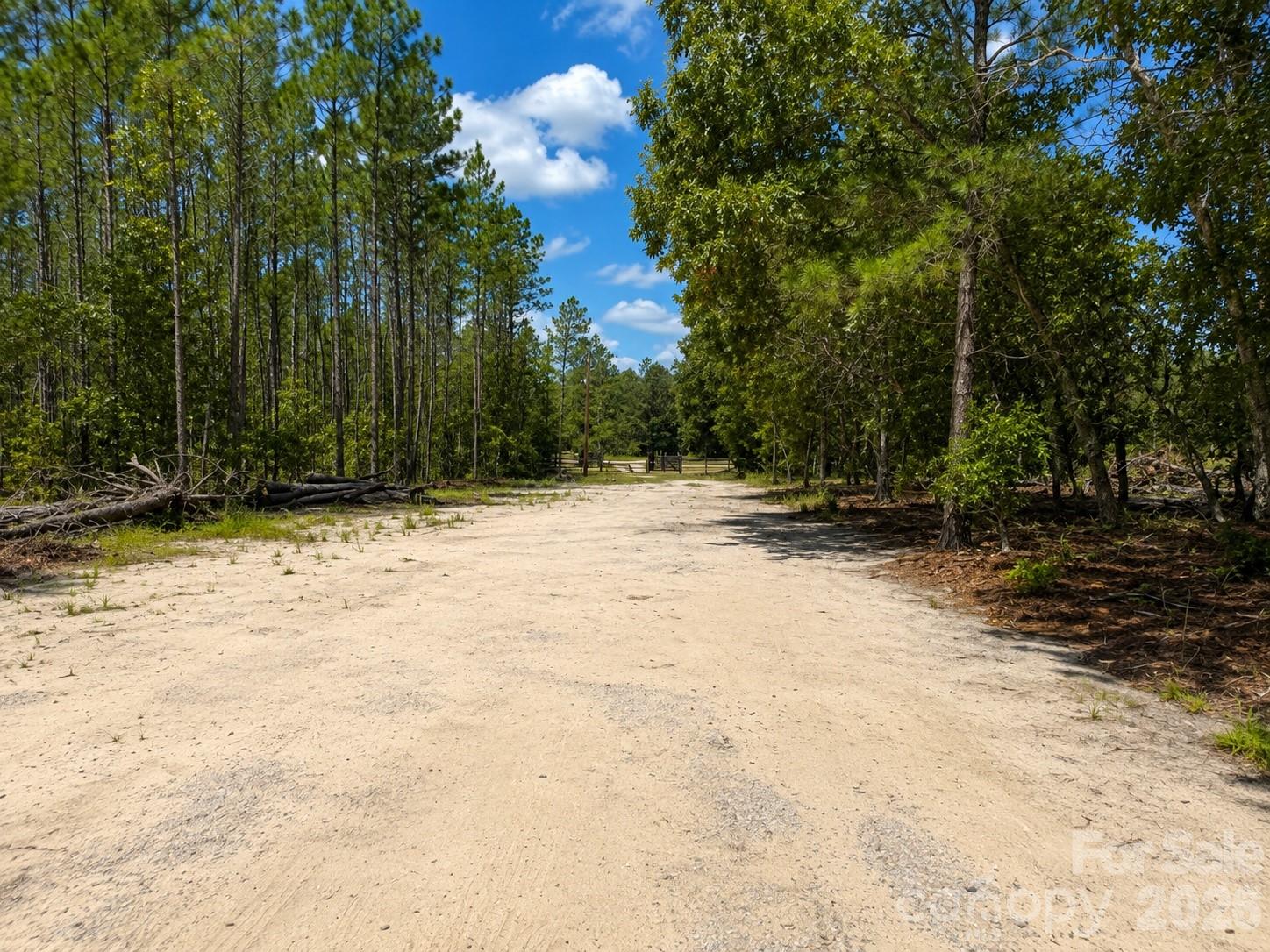 3203 Landfill Road Mount Croghan, SC 29727 - Photo 31 of 48 Gallery Image 31