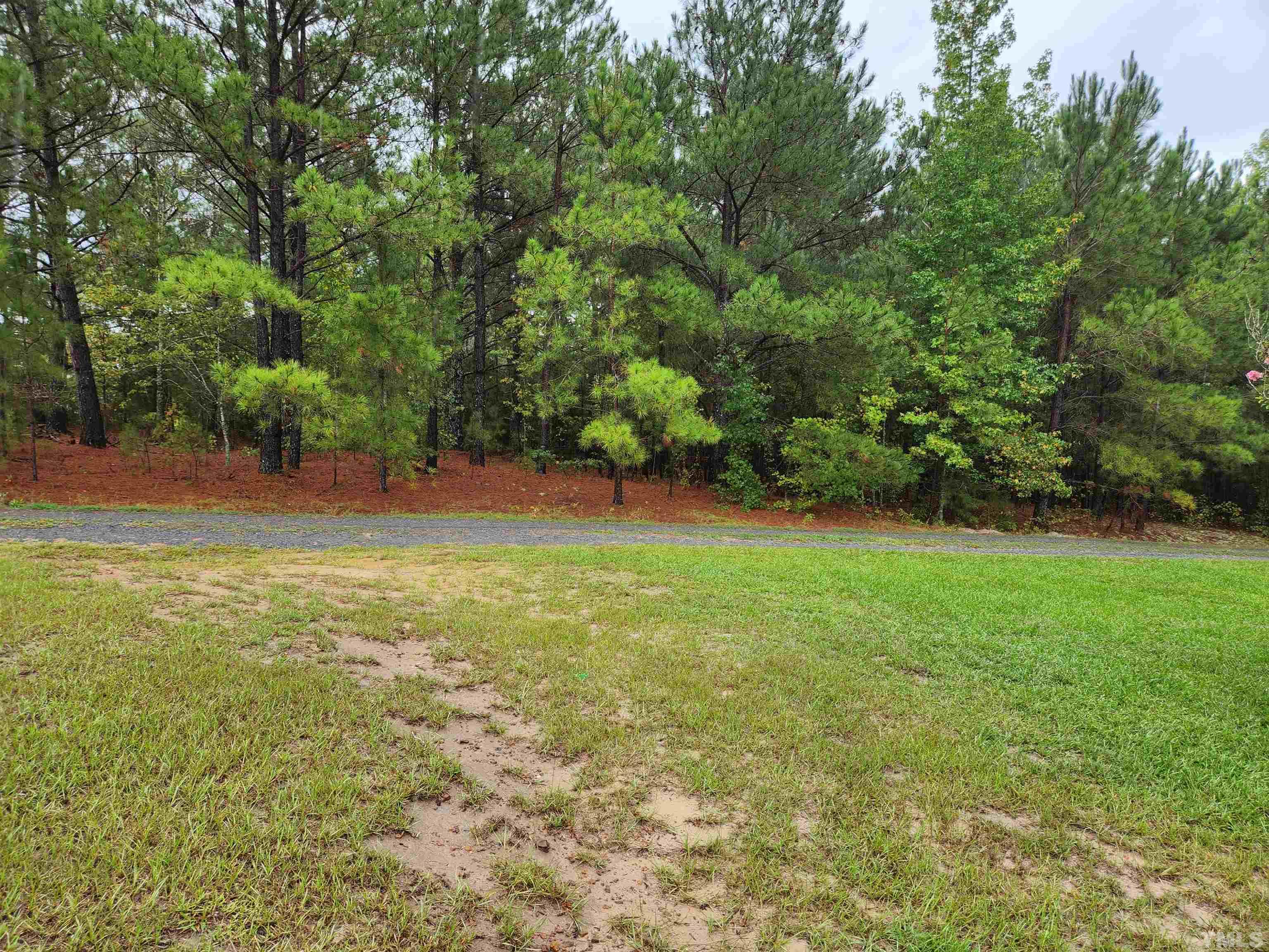 555 Massengill Pond Road Angier, NC 27501 - Photo 6 of 36 a view of yard with green space