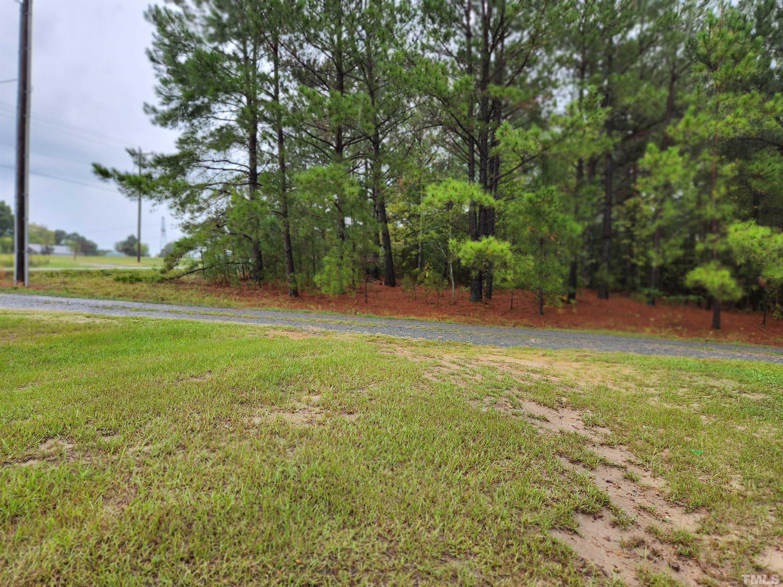 555 Massengill Pond Road Angier, NC 27501 - Photo 10 of 36 a view of a field with trees in the background