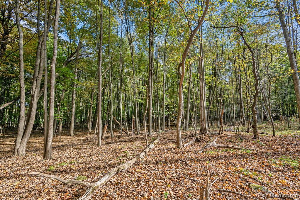 1570 Lone Tree Road Highland, MI 48357 - Photo 11 of 18 Gallery Image 11