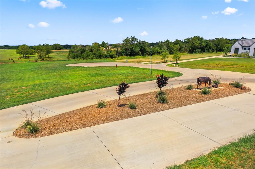 435 Massey Road Pilot Point, TX 76258 - Photo 23 of 35