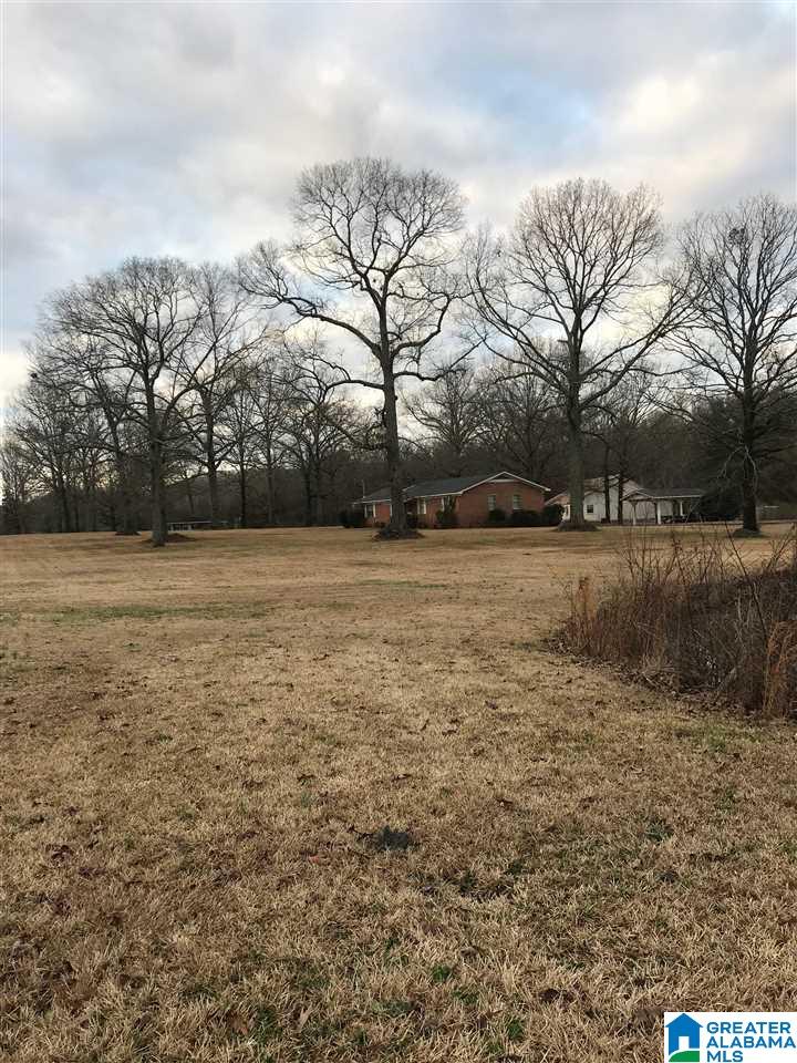 1547 Fulton Gap Road Sylacauga, AL 35150 - Photo 4 of 46