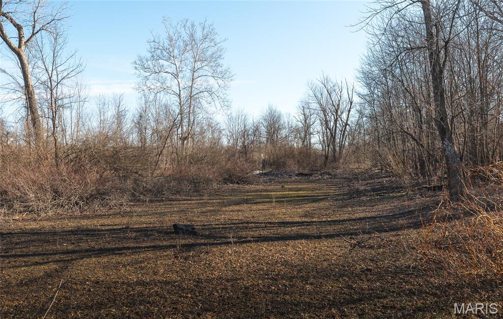 10 Lehmond Island Road St. Charles, MO 63301 - Photo 38 of 54