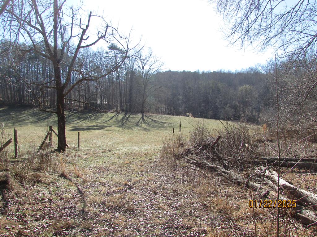 9695 Phillips Road Young Harris, GA 30582 - Photo 1 of 23 Main View
