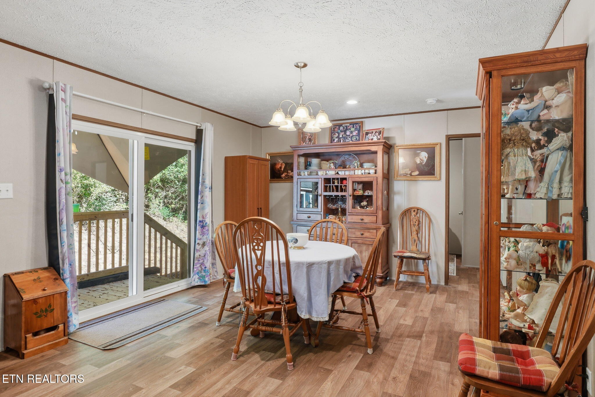 710 Lower Quarry Road Newport, TN 37821 - Photo 11 of 23 15-web-or-mls-DZ3A4022