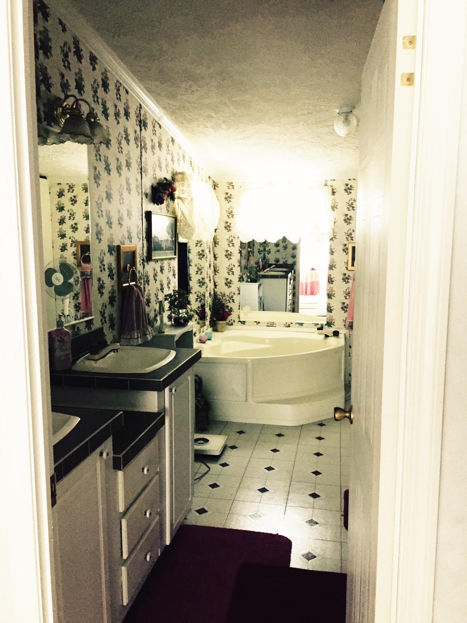 830 Sweetwater Road Philadelphia, TN 37846 - Photo 18 of 40 Master Bath