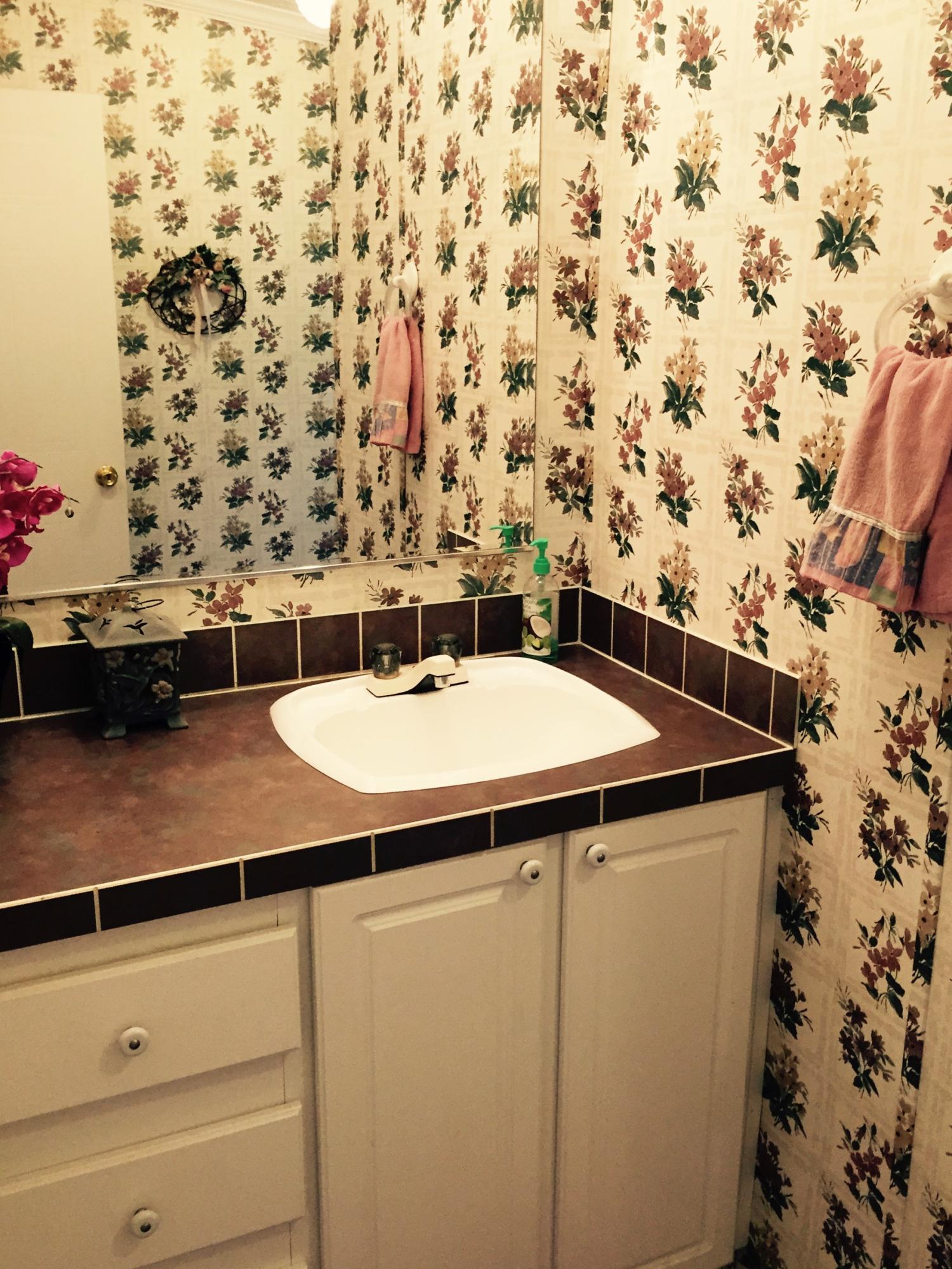 830 Sweetwater Road Philadelphia, TN 37846 - Photo 30 of 40 Hall Bath Vanity