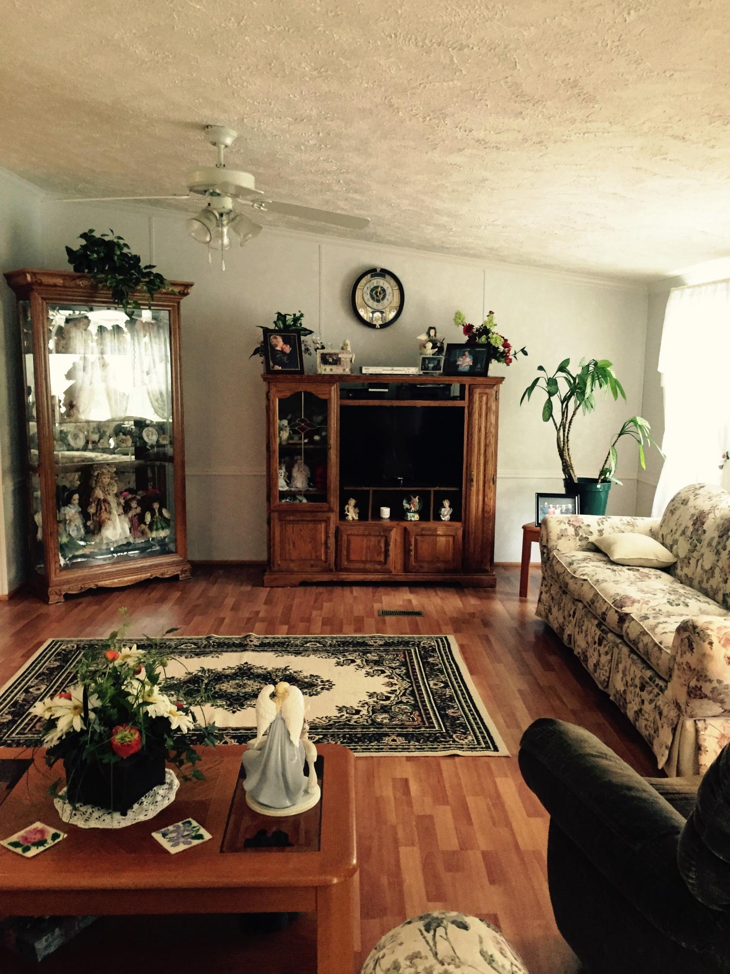830 Sweetwater Road Philadelphia, TN 37846 - Photo 7 of 40 Vaulted Ceilings