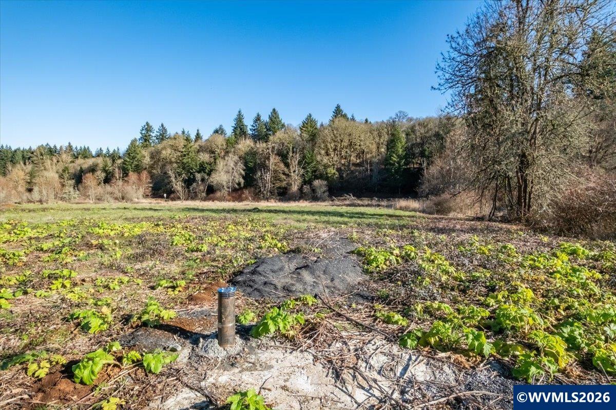 2531 Ballyntyne Road South Salem, OR 97302 - Photo 4 of 22