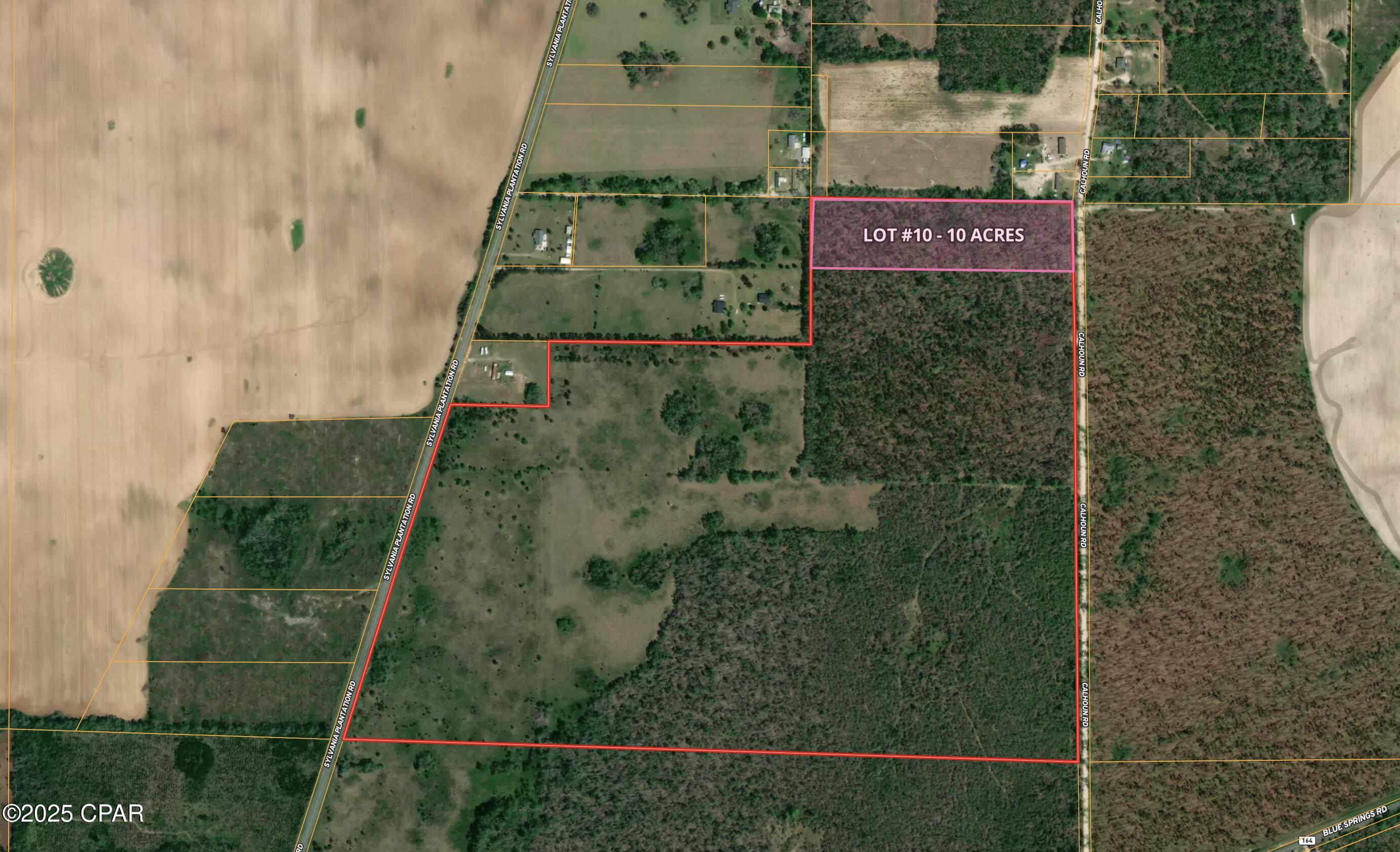 0 Lot 10 Calhoun Road Greenwood, FL 32443 - Photo 11 of 11