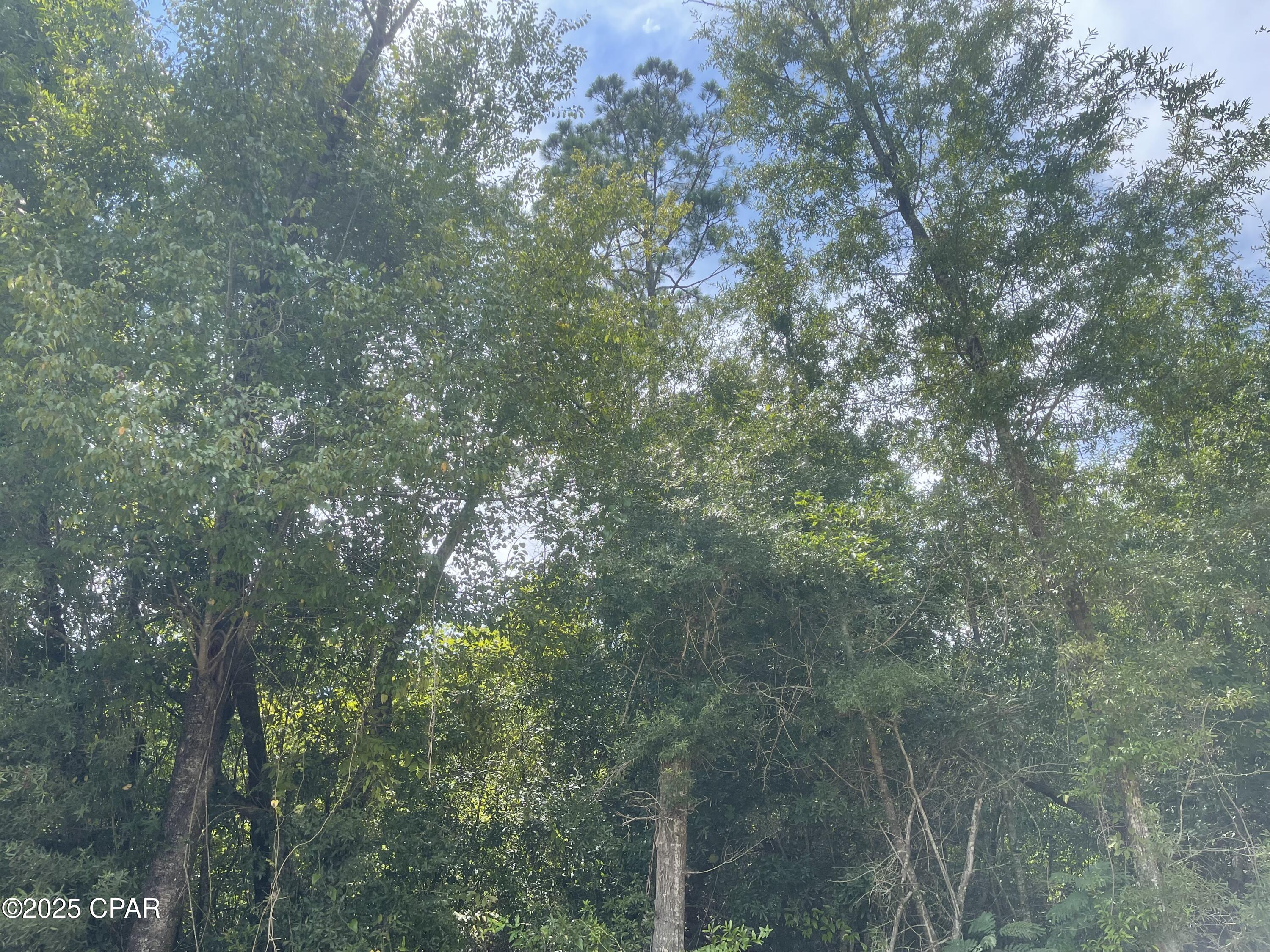 0 Lot 10 Calhoun Road Greenwood, FL 32443 - Photo 3 of 11