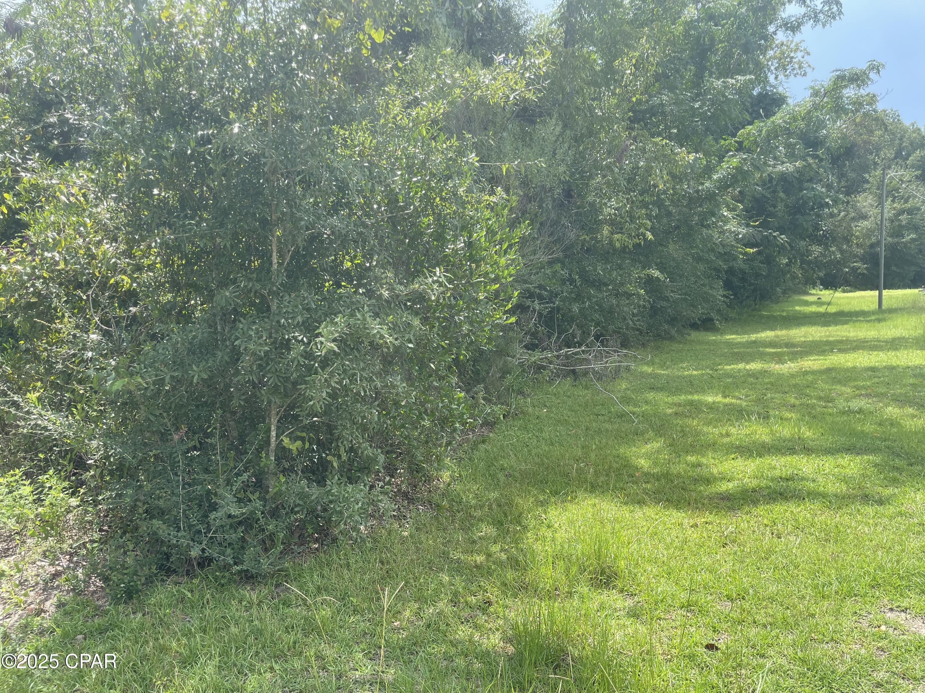 0 Lot 10 Calhoun Road Greenwood, FL 32443 - Photo 4 of 11