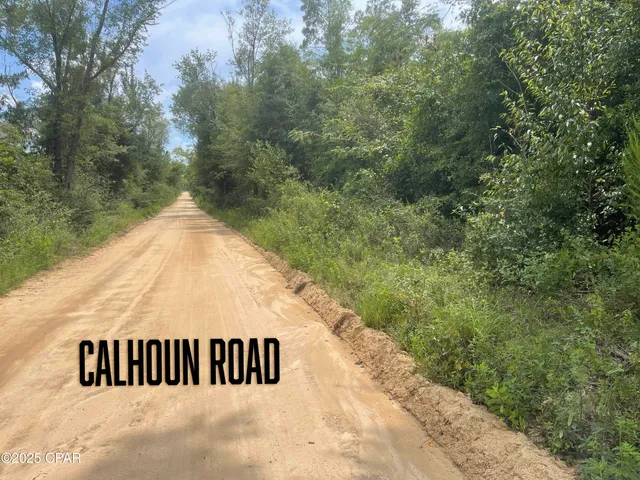 $85,000 | 0 Lot 10 Calhoun Road, Greenwood, FL 32443