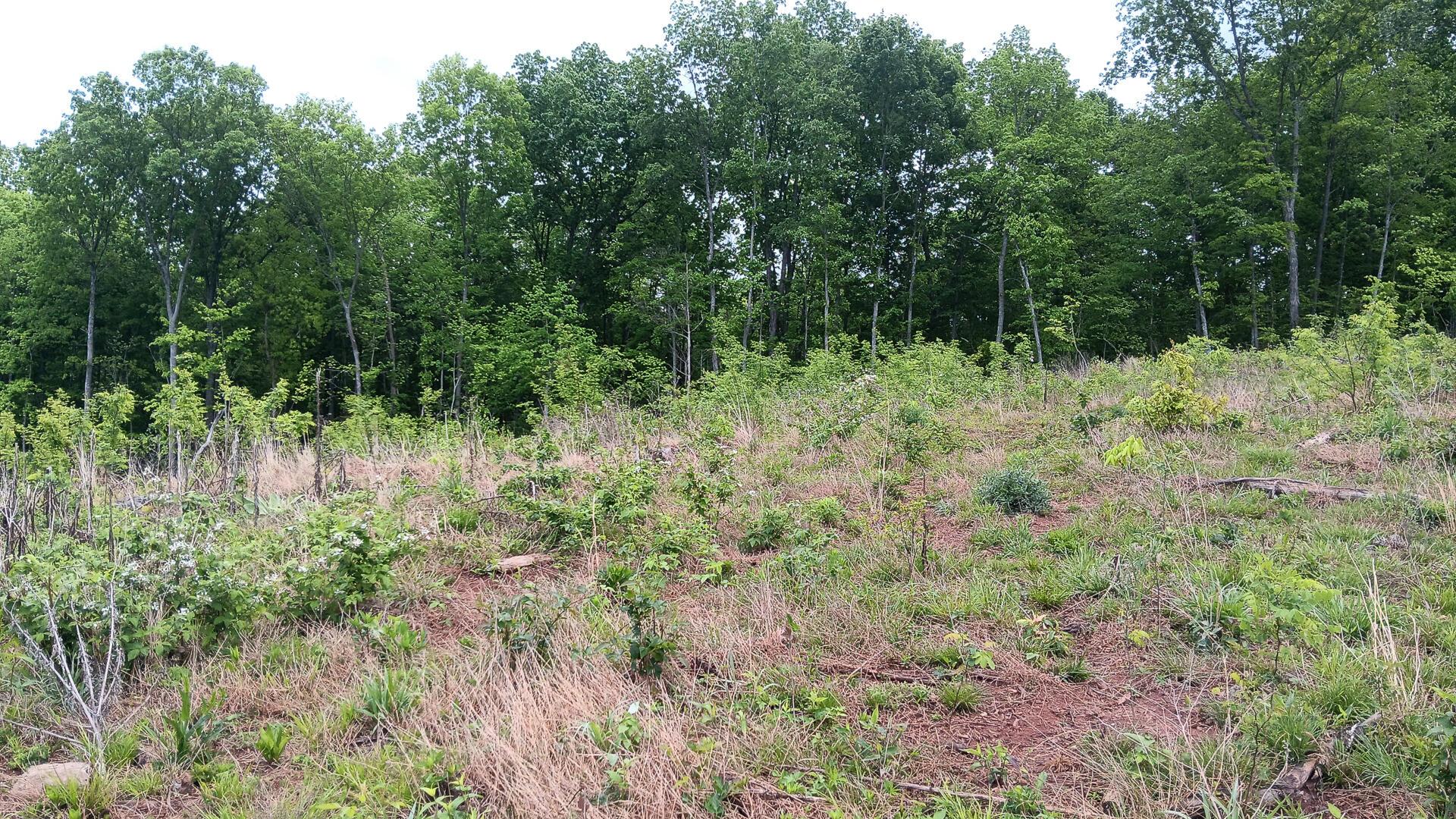 0 Hampton Hollow Road, Unit 7 ACRE TRACT) Langsville, OH 45741 - Photo 44 of 55