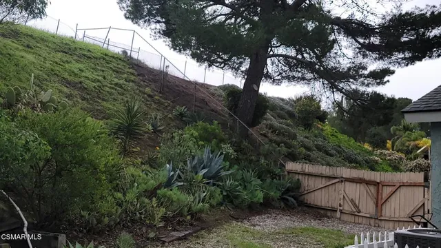 a view of a garden with plants