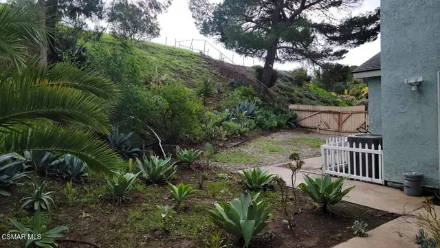 a view of a garden with plants