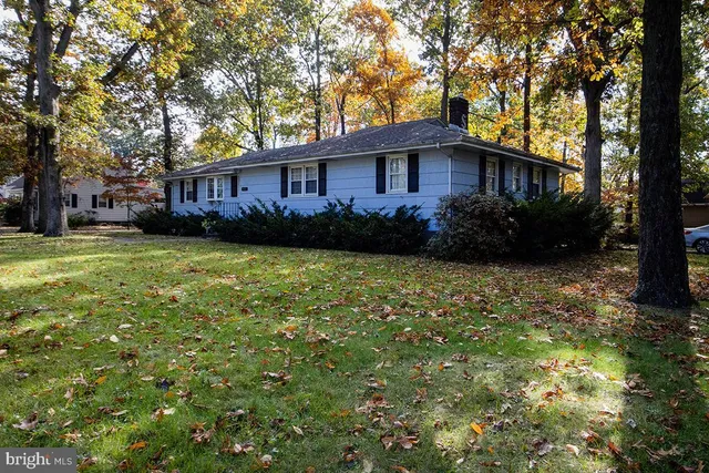 a view of a yard in front of a house with large tree