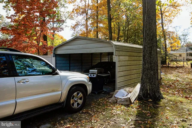 a view of a outdoor space with deck and tree