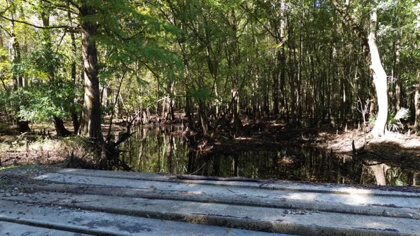 $1,999,000 | 0 U S 521, Salters, SC 29590