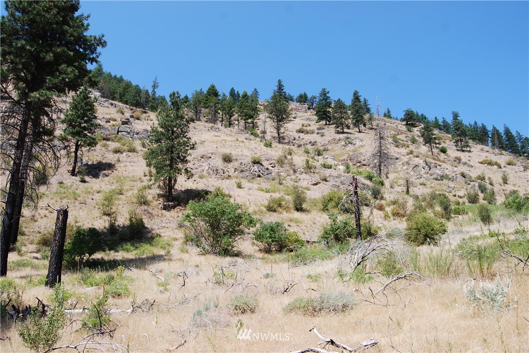 85 Green Lake Road Okanogan, WA 98840 - Photo 13 of 23 Gallery Image 13
