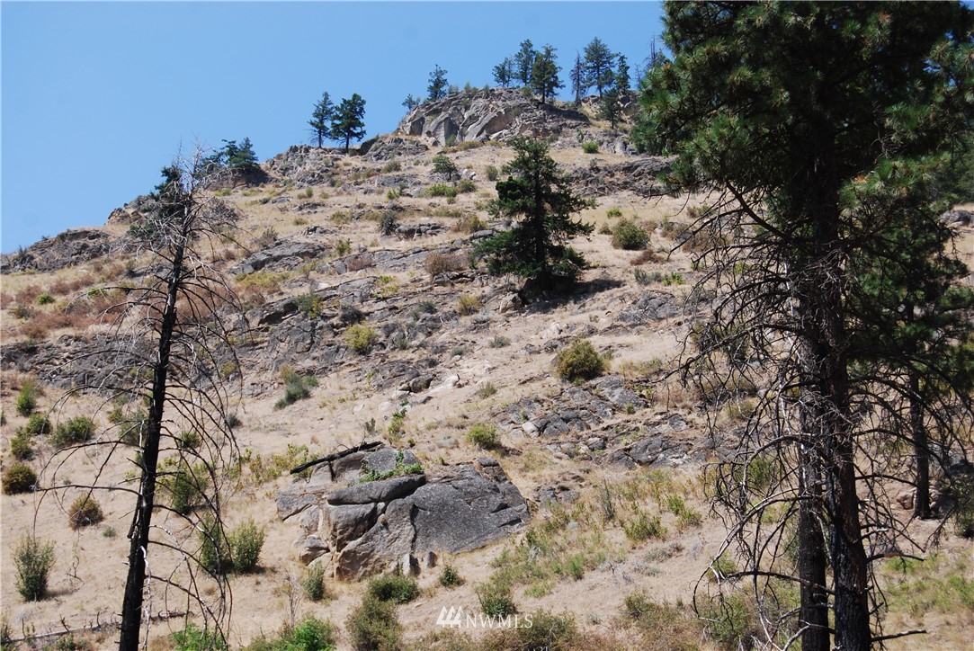 85 Green Lake Road Okanogan, WA 98840 - Photo 14 of 23 Gallery Image 14