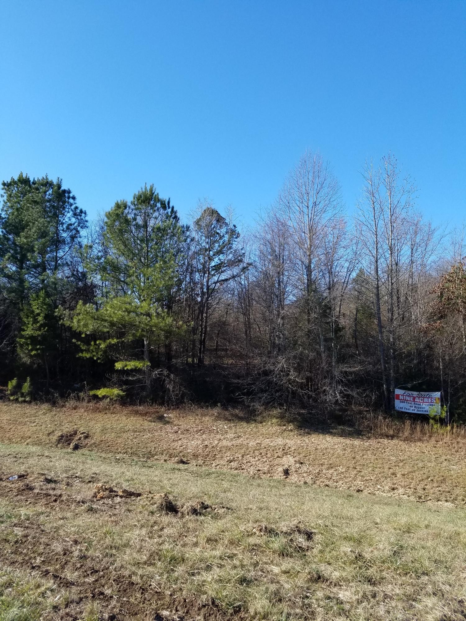 0 South Jenkins Road Chickamauga, GA 30707 - Photo 1 of 5
