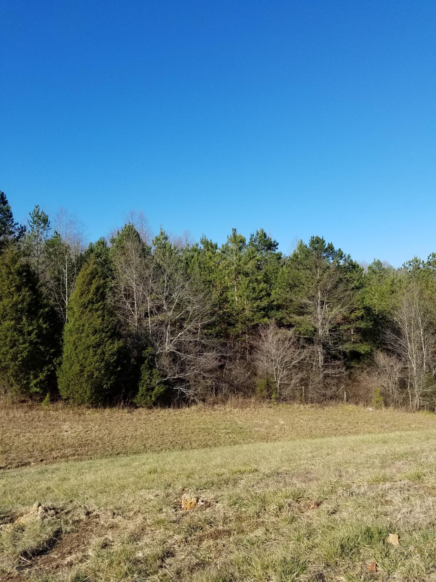 0 South Jenkins Road Chickamauga, GA 30707 - Photo 2 of 5