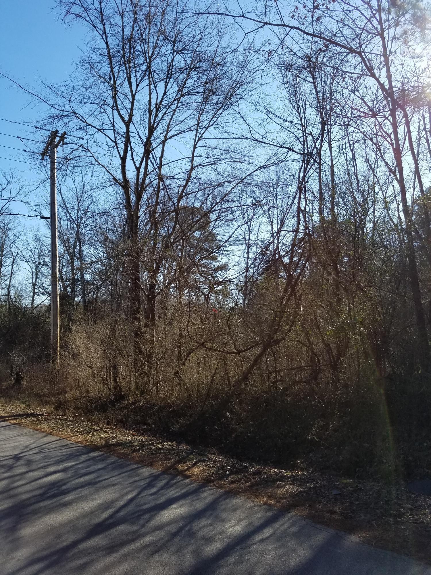 0 South Jenkins Road Chickamauga, GA 30707 - Photo 3 of 5