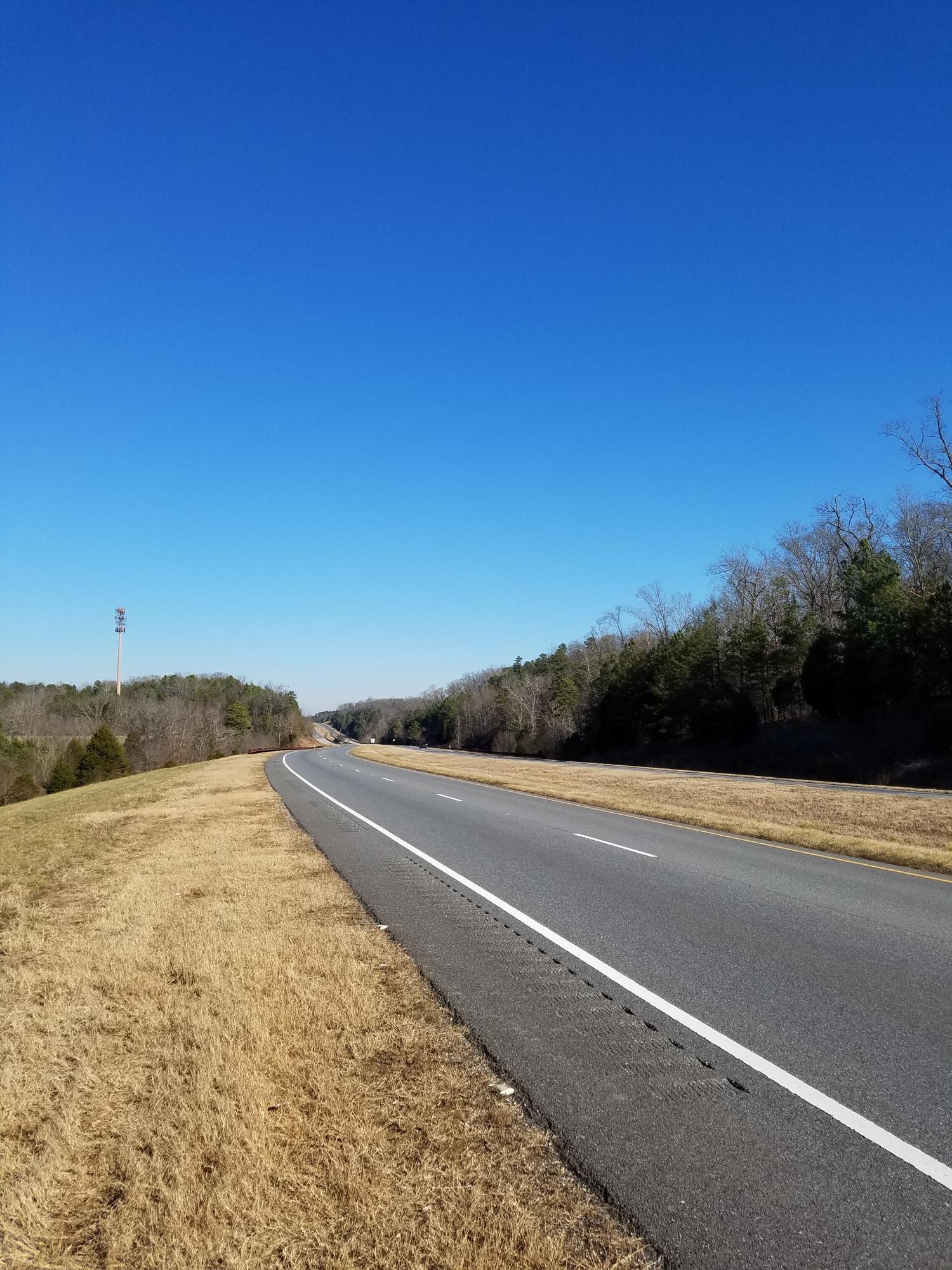 0 South Jenkins Road Chickamauga, GA 30707 - Photo 4 of 5