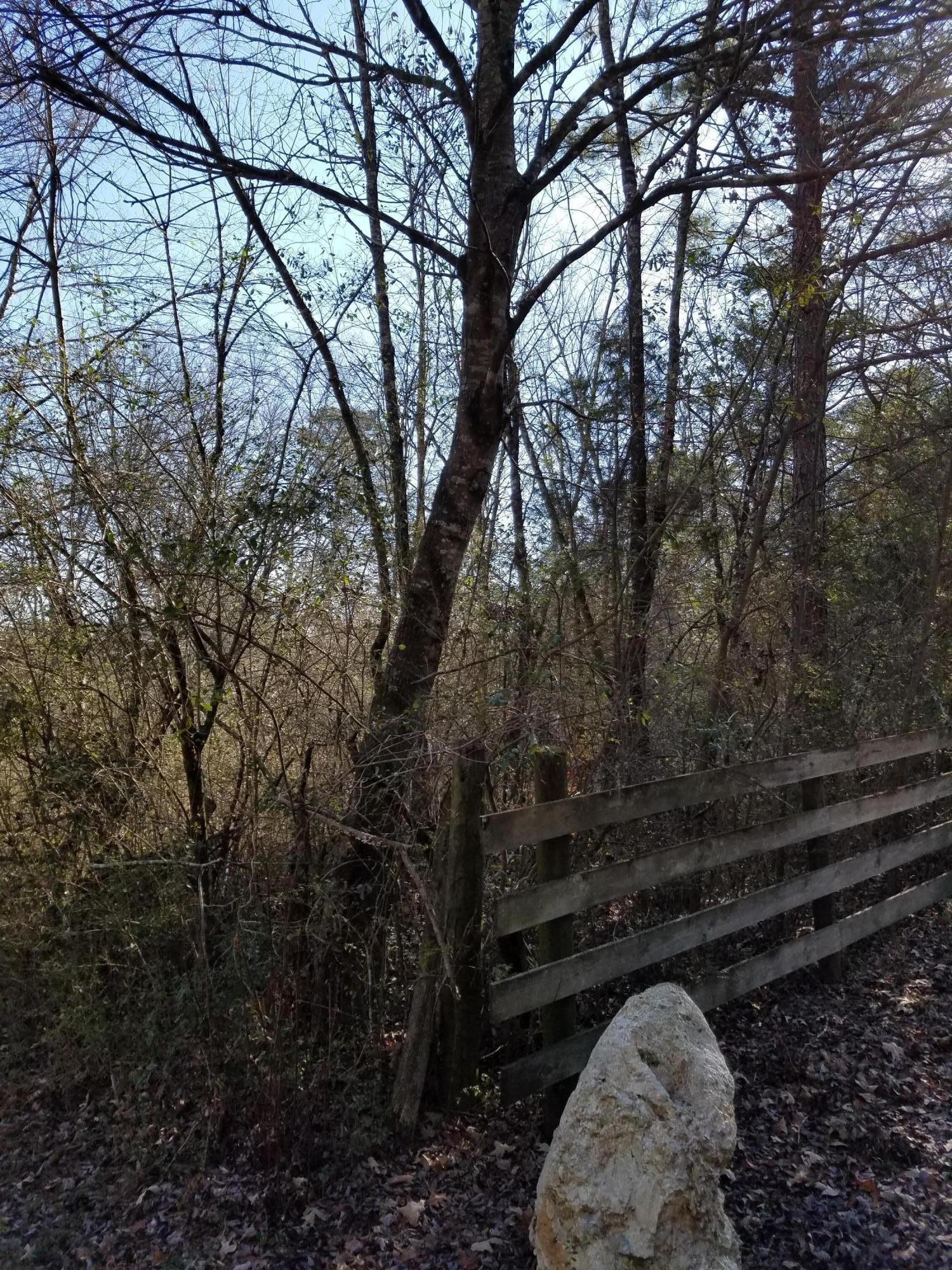 0 South Jenkins Road Chickamauga, GA 30707 - Photo 5 of 5