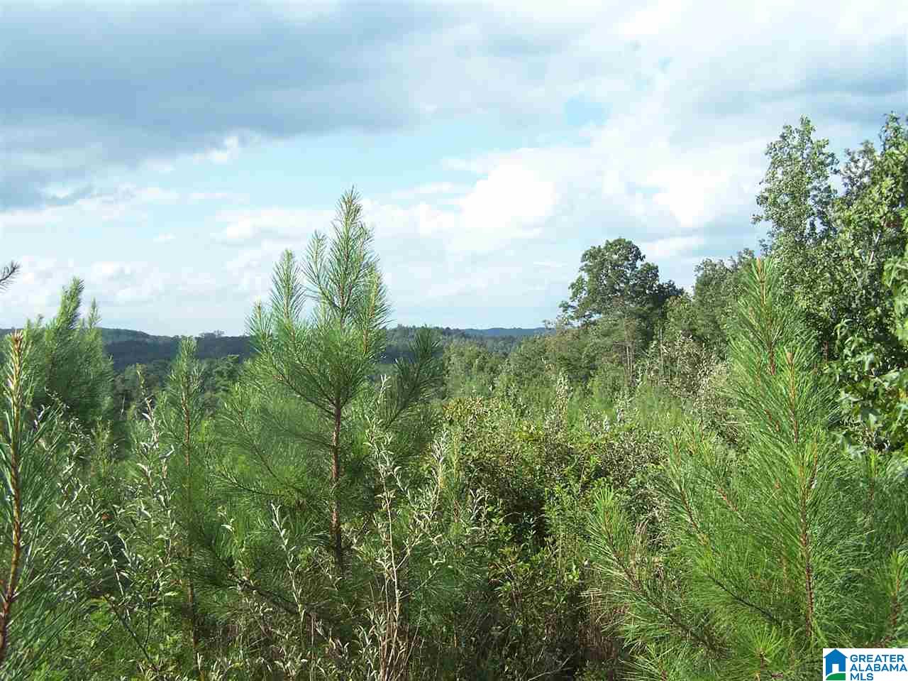 0 Jackson Trail, Unit 140 ACRES Altoona, AL 35952 - Photo 47 of 50