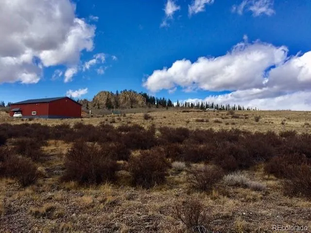 a view of a bunch of trees in background