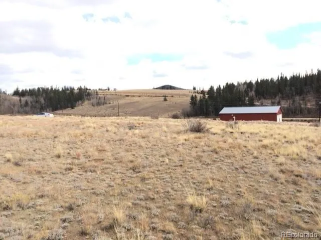 a view of a pathway of a house with a yard and trees