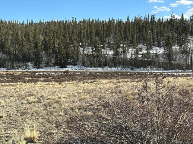 a view of a large body of water with lots of trees
