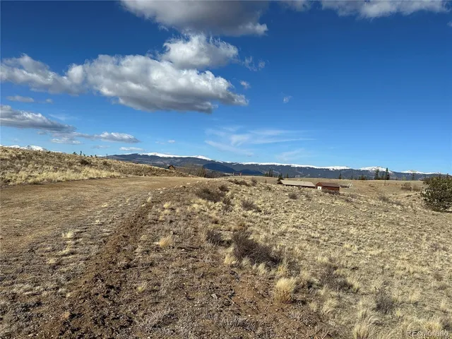 a view of a dry yard with green space
