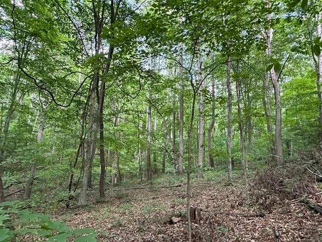 Tbd Tbd Undisclosed Road Pembroke, VA 24136 - Photo 13 of 20 Gallery Image 13