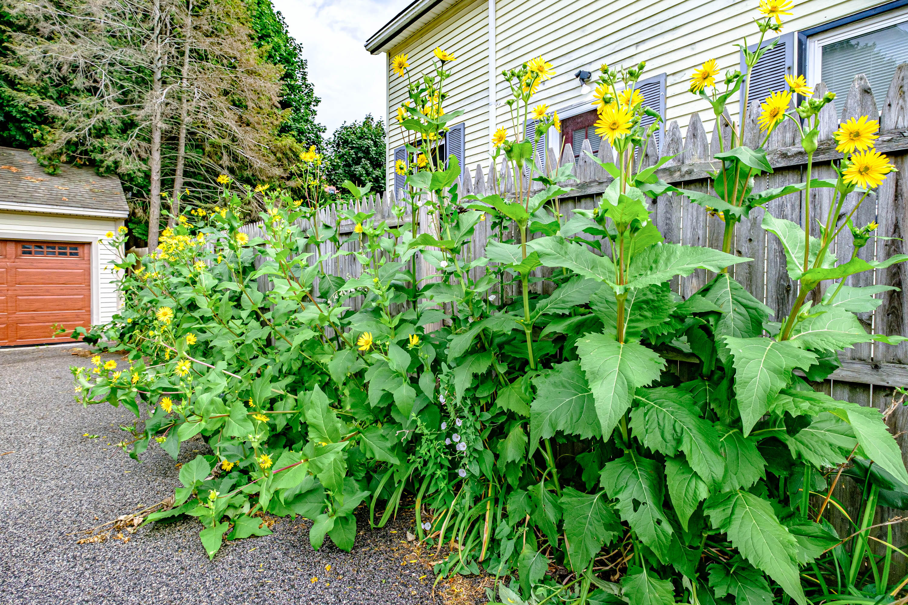 101 Gilman Street Portland, ME 04102 - Photo 42 of 53 20230804gp-62063