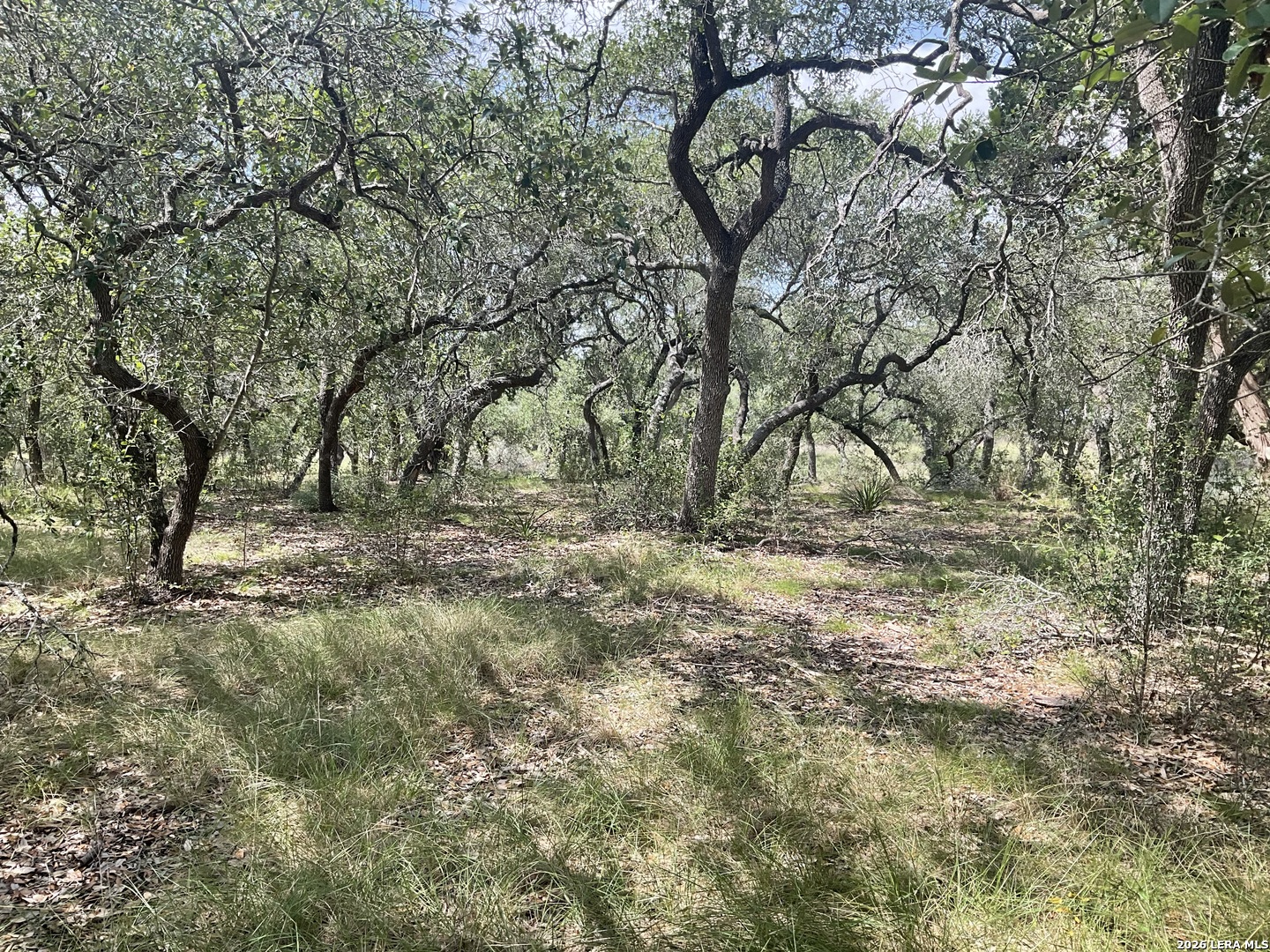 713 Johanna Ridge Road Bulverde, TX 78163 - Photo 11 of 14