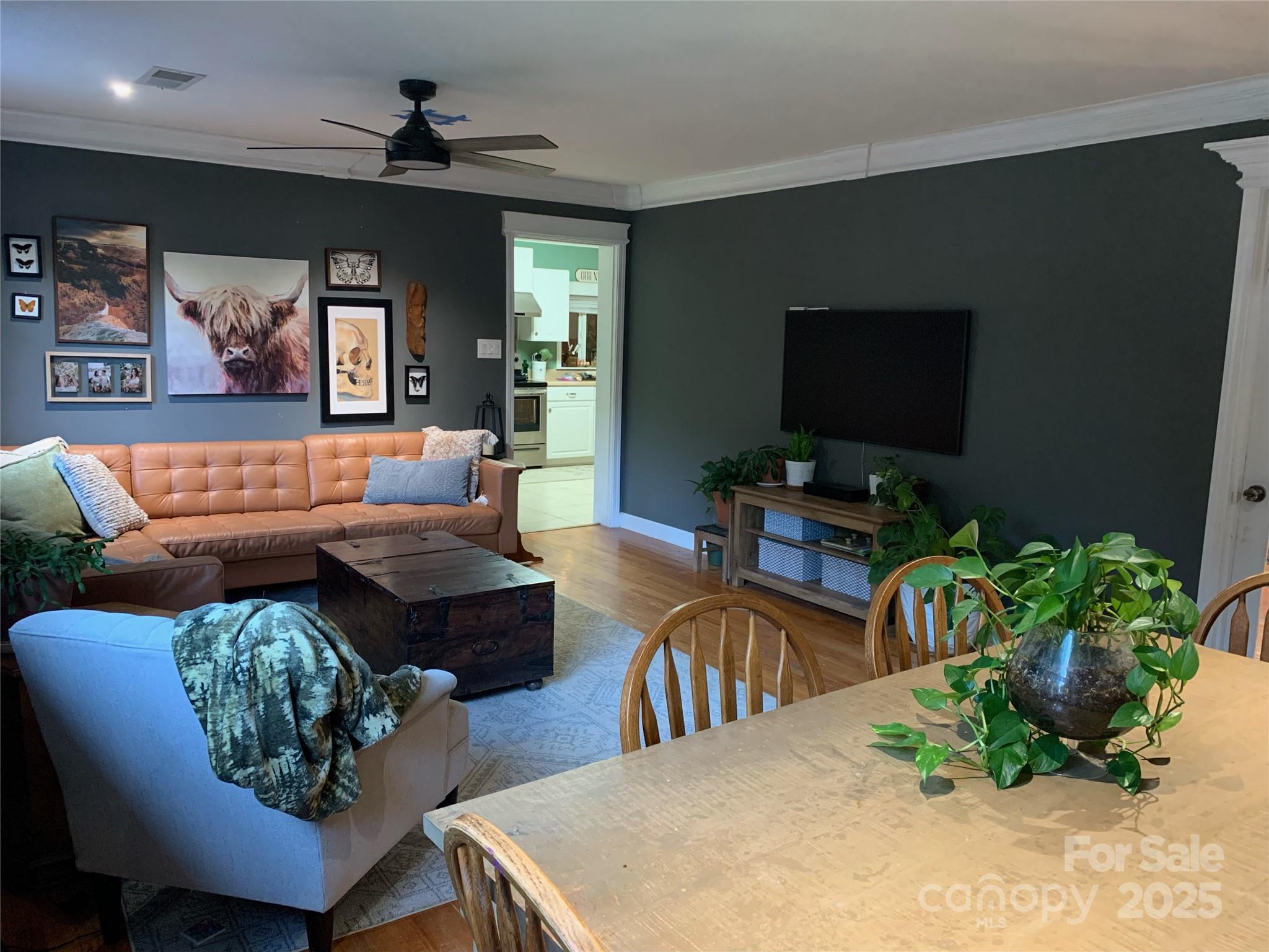 10672 Barberville Road Indian Land, SC 29707 - Photo 17 of 34 a living room with furniture a flat screen tv and a potted plant
