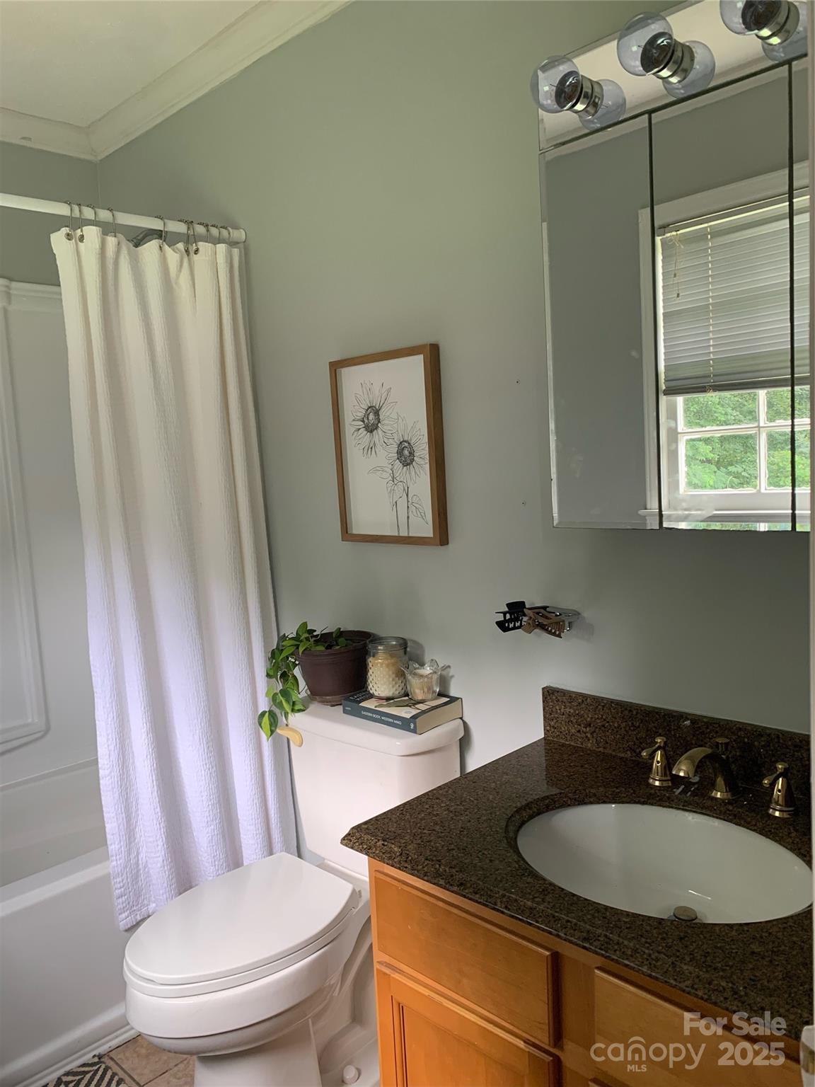 10672 Barberville Road Indian Land, SC 29707 - Photo 30 of 34 a bathroom with a sink toilet and shower