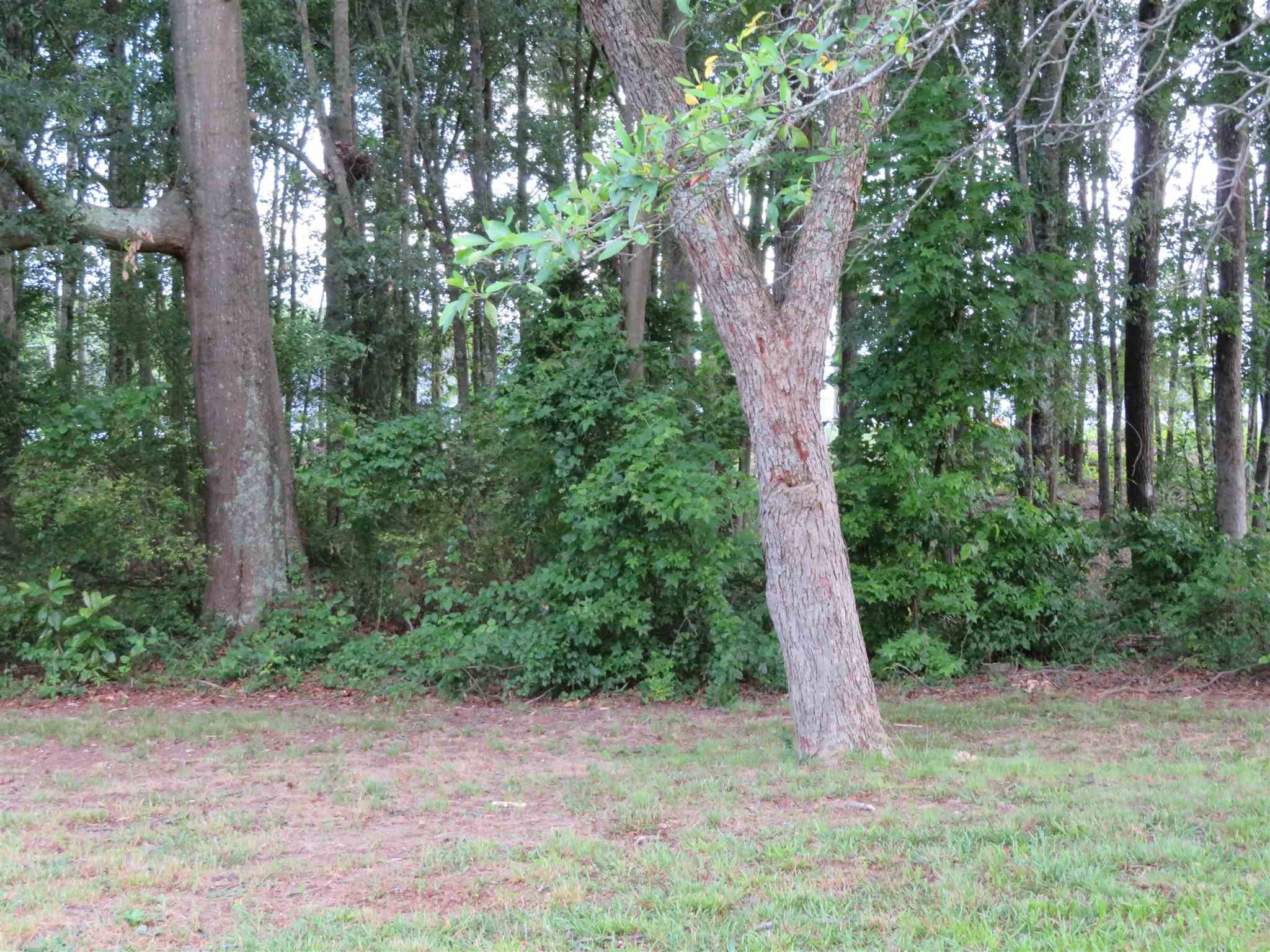 230 Burns Road Spartanburg, SC 29307 - Photo 23 of 23 Gallery Image 23