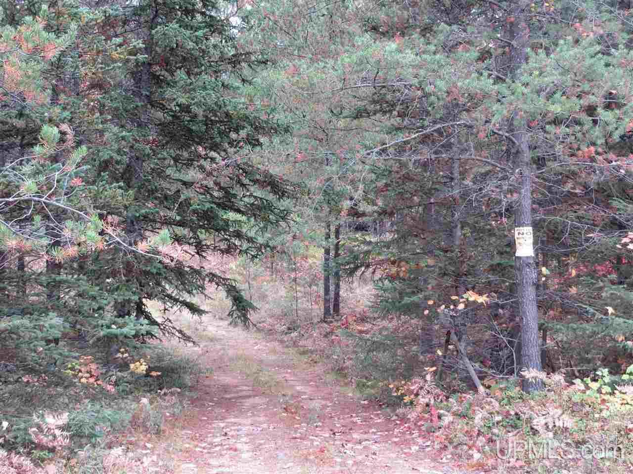 Tbd Co Rd Ff Republic, MI 49879 - Photo 27 of 29