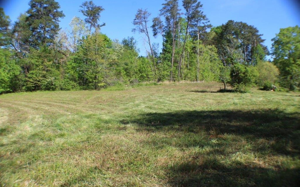 4.56 A Burgess Road Ellijay, GA 30540 - Photo 1 of 1 Main View